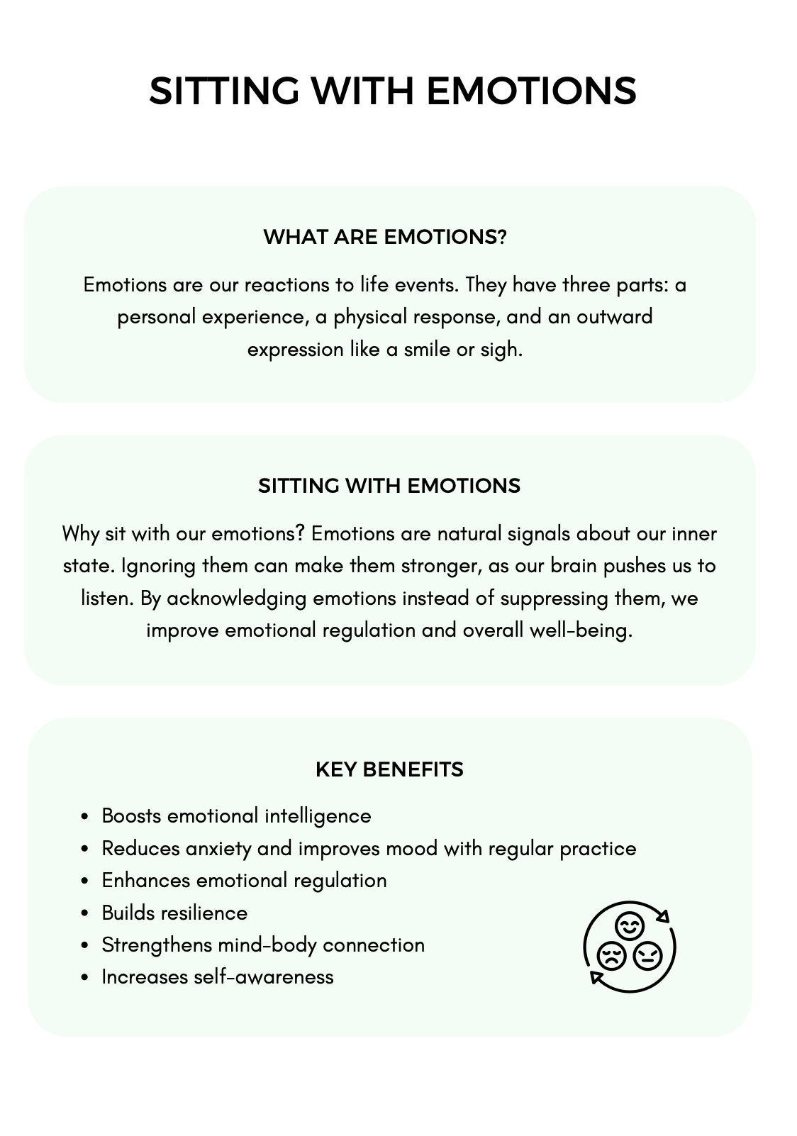 Emotional Regulation  Bundle