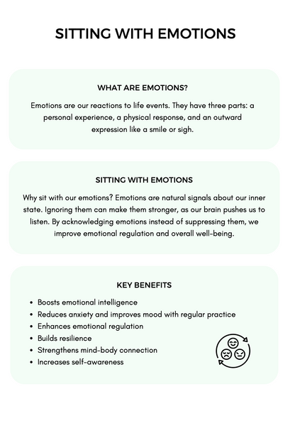 Emotional Regulation  Bundle