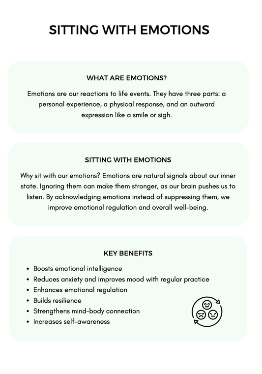 Emotional Regulation  Bundle