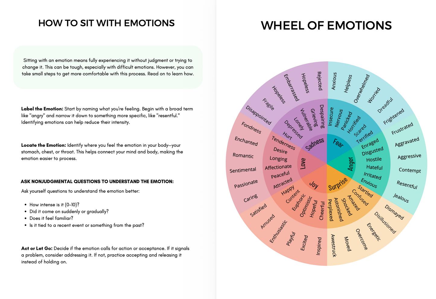 Emotional Regulation  Bundle